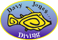 Davy Jones Diving centre Arinaga