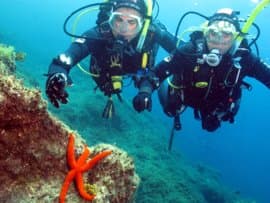 Gran Canaria -divers in the warm subtropical waters of the El Cabrón marine reserve
