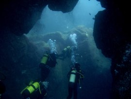 Dyk in i de varma subtropiska vatten El Cabron marina reservatet 