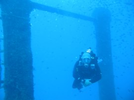 A diver swims through the King Posts on the Kalais surrounded by small damselfish