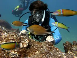 Scuba Diving course in Gran Canaria