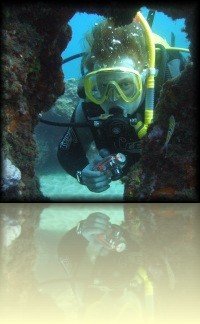 Bekijk meer foto's in onze fotogalerij