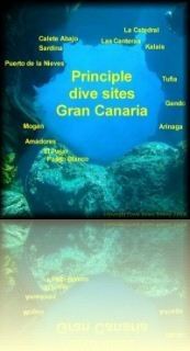 Gran Canaria's duikplekken - waar te gaan en wat er is te zien 