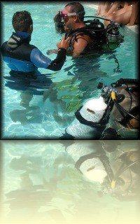 Learn to dive in Gran Canaria