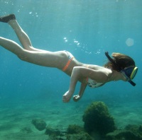 The water around Gran Canaria is still warm enough in January for this Snorkeller (13 Jan 2006)