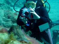 In Arinaga there is amazing marine life to photography when you dive in the Marine Reserve