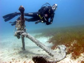 Anchor in risco verde