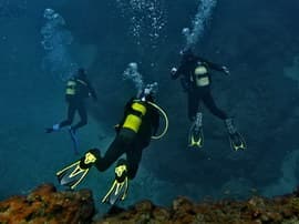 in Gran Canaria PADI courses for children