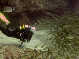 De El Cabron Marine Reservaat is de beste plek te gaan duiken in Gran Canaria 