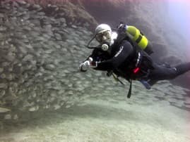 Gran Canaria -PADI training at 5-star dive centre