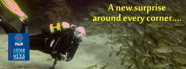 Dive in the El Cabrón Marine Reserve with PADI 5-star centre Davy Jones Diving