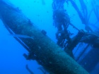 Een barracuda jaagt rond een van de masten van het wrak van de frigorifica in Gran Canaria 