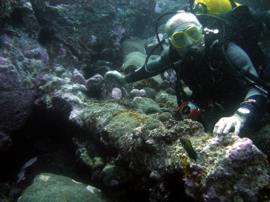 Gran Canaria has several dive sites with scattered archeology - This Canon has become heavily encrusted