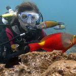 Buceadora con vida marina (Vieja - Parrotfish) en las Islas Canarias