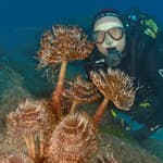 Spirograph with diver in Gran canaria