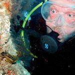 Debajo el agua Gran Canaria - buceador con vida marina -nudibranqio