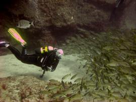 diver gran canaria