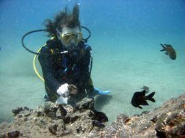 Get close to the marine life in the bay