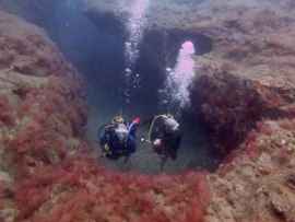 Espectacular tierra - buceo gran canaria