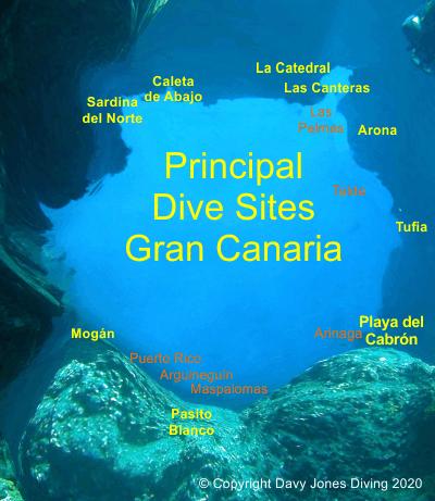 Diving in Gran Canaria Try, Learn, Explore, Snorkel