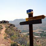 Most varied marine life in Gran Canaria