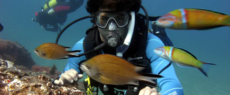 PADI Open Water Course Gran Canaria