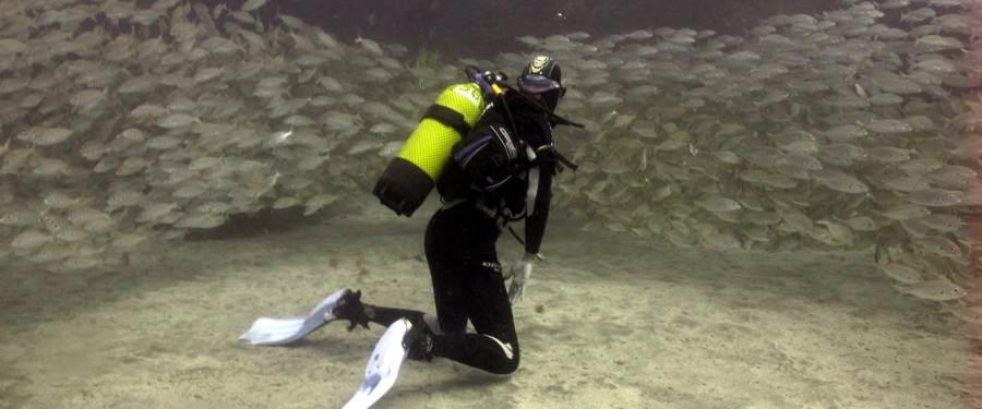 In the El Cabrón marine reserve you can dive into the shoals of fish