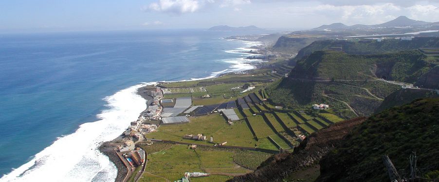 Lugares de buceo en la costa noreste de Gran Canaria