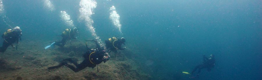 Canary islands dive into the Arinaga Marine Reserve