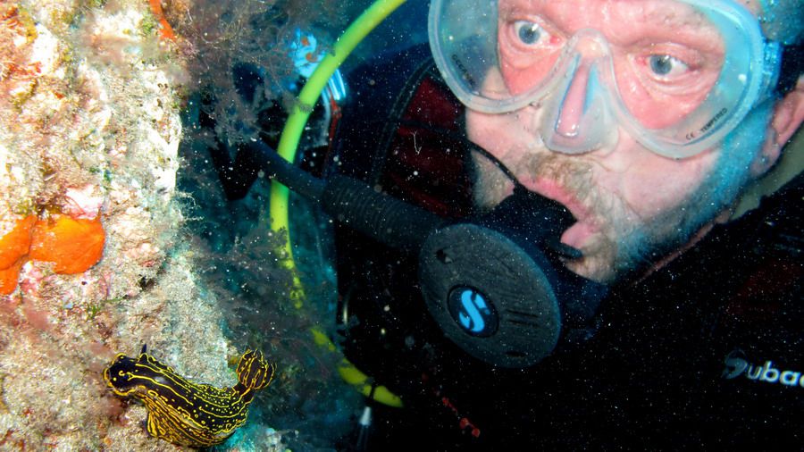 Enjoy your SCUBA dives in the best place to dive in Gran Canaria