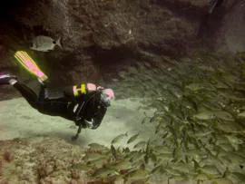  underwater conditions in the El Cabrón marine reserve are updated regularly